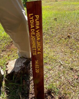 Jack DeJohnette Instagram - Planting trees in beautiful Costa Rica
— Jack