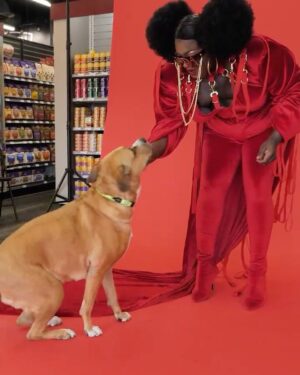 Jada Shada Hudson Instagram - Get your Pet Ready for Pride with @globalpetfoods ……….. 
.
.
Meet my friends or should I say my sisters @devinedarlin @sofondato @thequeenpriyanka 🤣…… 
#globalpetfoods #loveislove #pride2022 #dogsofinstagram
