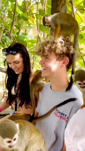 Jake Katzman Instagram - MONKEY LAND🐒How many monkeys do you see? @monkeylandpuntacana #itsabeautifulday #cruise #vacay #monkeys #earth #takecareoftheplanet #grateful