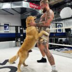 Jake Paul Instagram - Boxing bestie