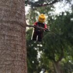 James Corden Instagram - Saw this guy hanging out today!