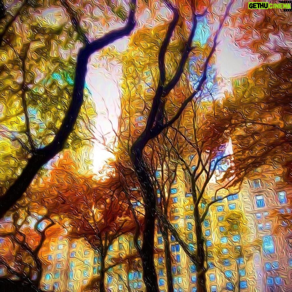 James Michael Tyler Instagram - #newyorkcity #centralpark #artoftheday #painting #peace