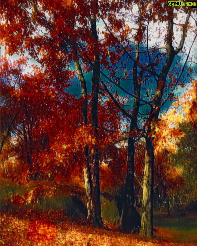 James Michael Tyler Instagram - Fall Guy #newyork #centralpark #art #painting #graphicdesign #trees Central Park