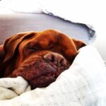 James Roday Rodriguez Instagram - Happy Birthday Spaceman. You are the whole truth and Papa loves your face off.