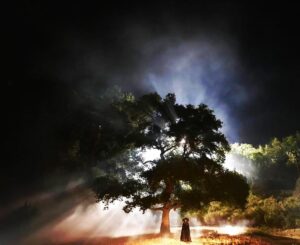 James Roday Rodriguez Instagram - #Treehouse  Trailer tomorrow...sleep tight.