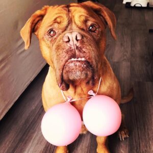 James Roday Rodriguez Instagram - #breastcancerawareness  It’s every day, every week, every month. Photo credit @lalamoyer Model: @dailydoseofdella