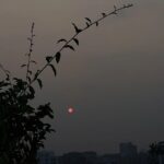 Jannatul Ferdous Oishee Instagram - শুভ সকাল🌞। এটা কিন্তু সন্ধ্যার চাঁদ নয়! এটা সূর্য, ভোরের সূর্য। আমি বলি হাঁসের ডিমের কুসুম।