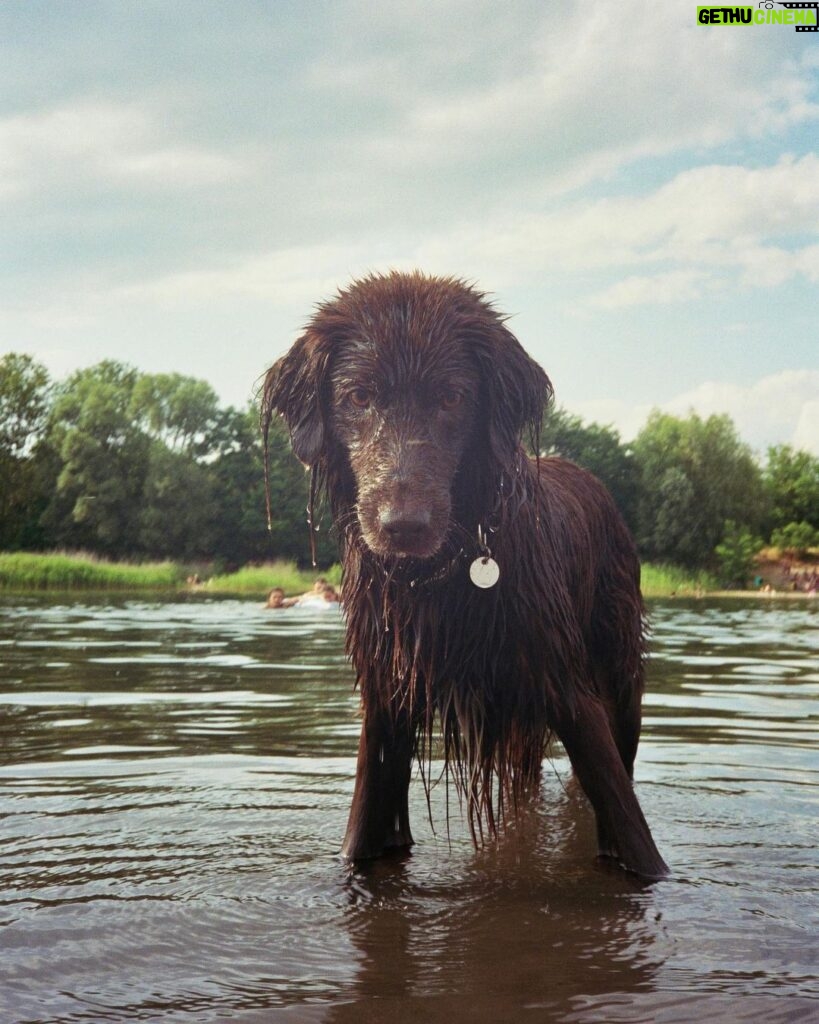 Jannik Schümann Instagram - DOGUE Covergirl