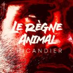 Jason Chicandier Instagram - Plus de 500 000 vues en moins de 24h pour « La raclette - Le règne animal ». Vidéo devenue culte en une journée. Oui c’était un hommage grossier au film « La grande bouffe » de Marco Ferreri ! On a hésité à la sortir puis je me suis dit « Les gens sont futés, ils saisiront la subtilité de la violence ! » et c’est un bingo ! Réalisé avec mes magnifiques copains du lotissement (d’façon on a tous la même gueule). Merci les Superbes car ça donne de la force pour continuer ! Certains ont quitté le navire mais bordel ceux qui restent sont des Empereurs ! Je vous lèche les coussinets. Signé : Le Chat ! (Oui on a déjà à faire à un gros chaton 🐈‍⬛). Réalisation @guilhemcanal