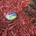 Jason Ian Drucker Instagram - #msdstrong it’s so hard to express how I feel. We are just kids, we shouldn’t have to go visit the school in the next city to see a memorial of 17 students and teachers that were killed. So much needs to change #weCallBS #guncontrol #neveragain #neveragain #neveragain #timeforchange #parklandstrong #pauseandlove Marjory Stoneman Douglas High School