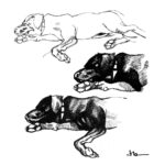 Jason Latour Instagram - Life drawings of my nephew from 2019. #dogs #dogsofinstagram #lifedrawing #comics