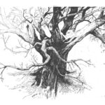 Jason Latour Instagram - The most recognizable tree I’ve drawn so far. For comics and more, join my NEWSLETTER at the link in bio. #cartoonist #comics #tree #southernbastards