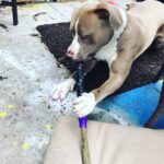 Jason Miller Instagram - BRICKTOP AT WORK ON THE NEW MIC STAND. Mayhem Miller Industries, LLC