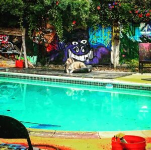 Jason Miller Instagram - BRICKTOP ON THE LOOKOUT! New show today at 3:33!