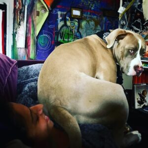 Jason Miller Instagram - IT GETS REAL WHENEVER BRICKTOP IS AROUND