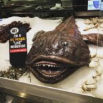 Jason Miller Instagram - HEY KIDS! It's me Chet, the monkey fish, reminding you to listen to the Mayhem Podcast, and look out for the live show, tomorrow at 4:30 pm! GLUG GLUG GLUG Mayhem Miller Industries, LLC