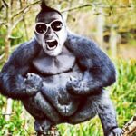 Jason Miller Instagram - WE NOT ON #DEATHSQUAD BUT MY PODCAST KILLS YOUR EARHOLES https://itunes.apple.com/us/podcast/mayhem-podcast/id1221242093?mt=2&i=1000386188497