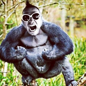 Jason Miller Instagram - WE NOT ON #DEATHSQUAD BUT MY PODCAST KILLS YOUR EARHOLES https://itunes.apple.com/us/podcast/mayhem-podcast/id1221242093?mt=2&i=1000386188497