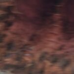 Jasper Pääkkönen Instagram – (Kaupallinen yhteistyö @dna_fi) – Mahtava työreissu Thaimaahan takanapäin. Vapaapäivinä testissä @huaweimobilefi:n uusin P30Pro joka kulki mukana viidakossa, vesiputouksilla ja luolissa. Tässä pari vikaa Chiang Mai -fiilistelyä. Ps. tämän kaupallisen yhteistyön myötä tulossa uutisia eräästä hyväntekeväisyystempauksesta Suomen luonnon puolesta – siitä lisää pian. #dna_fi  #DNAtesti #HuaweiP30Pro #Valokuvauksenuusiulottuvuus