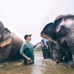 Jasper Pääkkönen Instagram – Bathing my new amigos at @elephantrescuepark in northern Thailand. These elephants are rescued from the logging industry, riding camps, circuses and other poor conditions. 📷: @real_rastivo #happyelephant #dumbo