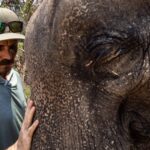 Jasper Pääkkönen Instagram – Bathing my new amigos at @elephantrescuepark in northern Thailand. These elephants are rescued from the logging industry, riding camps, circuses and other poor conditions. 📷: @real_rastivo #happyelephant #dumbo