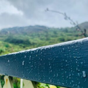 Jay Ryan Instagram - The first sprinkle of rain in 40 days and 40 nights... Phew! 🌧 it’s a dry, dry summer.