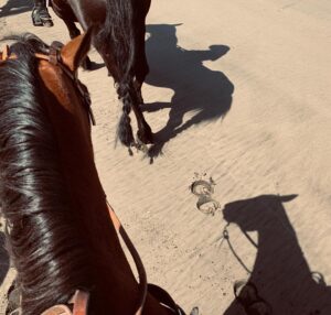 Jay Ryan Instagram - Back in the saddle. 🐎