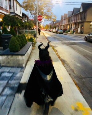 Jay Ryan Instagram - My little Pumpkin 🎃 #happyhalloween