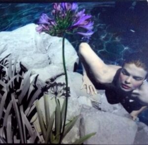 Jeanne Tripplehorn Instagram - Sometime Summer 🌸