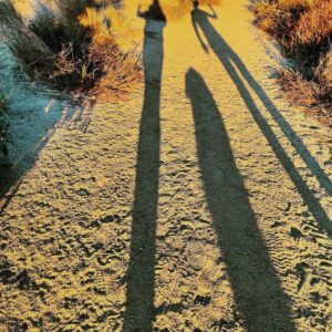 Jeanne Tripplehorn Instagram - On the path...2021