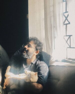 Jeevan Mammen Stephen Instagram - ഇവിടത്തെ ക്യാറ്റണ് ക്യാറ്റ് ☀️🐱@simba_persianboy 
📸: @strom.ae 
#weekendvibes #sunkissed #catlove