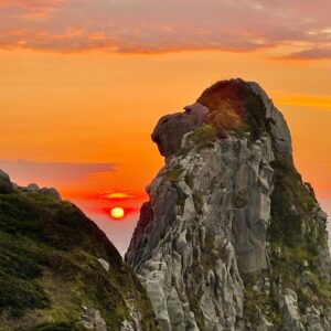 Jeffrey Cobb Instagram - There was a time before all the rain, where I went on an adventure to Iki island…. No smelling roses here, just enjoying the natural beauties like they were intended to be #JeffCobb #IkiIsland #EnjoyNature #AdventureTime #PeePeeShrine #MonkeyRock