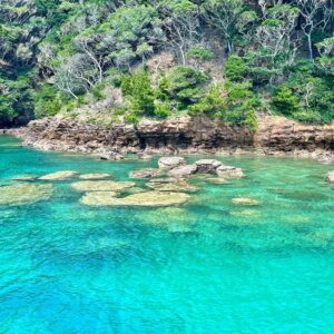 Jeffrey Cobb Instagram - There was a time before all the rain, where I went on an adventure to Iki island…. No smelling roses here, just enjoying the natural beauties like they were intended to be #JeffCobb #IkiIsland #EnjoyNature #AdventureTime #PeePeeShrine #MonkeyRock