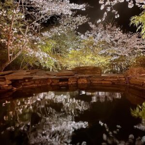Jeffrey Cobb Instagram - I’ve made a conscious effort to explore and learn more of this wonderful country, more so because this is where my grandmother is from. The years of coming here and just seeing venues and hotel rooms aren’t going to cut it anymore, we must stop and smell the roses and appreciate all the experiences we are offered. #JeffCobb #Japan #ExploreMore #Onsen #Fukuoka #Saga #Sakura