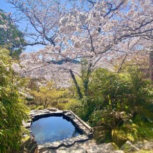 Jeffrey Cobb Instagram - I’ve made a conscious effort to explore and learn more of this wonderful country, more so because this is where my grandmother is from. The years of coming here and just seeing venues and hotel rooms aren’t going to cut it anymore, we must stop and smell the roses and appreciate all the experiences we are offered. #JeffCobb #Japan #ExploreMore #Onsen #Fukuoka #Saga #Sakura
