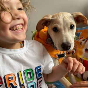 Jeffrey Dean Morgan Instagram - Well, we got our little Irwin, the three legged wonder dog today! He’s been embraced by ALL. Even bandit and honeydog are over the moon. Thank you so much to Chrissy and the rest at @thesatoproject, the work you do is amazing. Little Irwin is gonna have one hell of a life. We promise. Xxx