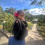 Jelai Andres Instagram - Hi Baby! 💙🖤🌸🌲 #jelaiandres