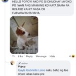 Jelai Andres Instagram - Sabi ko na nga ba hindi kita dapat binilhan ng cp eh! @popoythepogi (swipe left) #Popoy #RescueDog #PopoythePogi