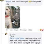 Jelai Andres Instagram - Sabi ko na nga ba hindi kita dapat binilhan ng cp eh! @popoythepogi (swipe left) #Popoy #RescueDog #PopoythePogi