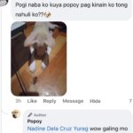 Jelai Andres Instagram - Sabi ko na nga ba hindi kita dapat binilhan ng cp eh! @popoythepogi (swipe left) #Popoy #RescueDog #PopoythePogi