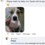 Jelai Andres Instagram - Sabi ko na nga ba hindi kita dapat binilhan ng cp eh! @popoythepogi (swipe left) #Popoy #RescueDog #PopoythePogi