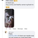 Jelai Andres Instagram - Sabi ko na nga ba hindi kita dapat binilhan ng cp eh! @popoythepogi (swipe left) #Popoy #RescueDog #PopoythePogi