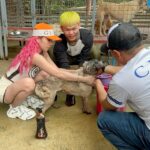 Jelai Andres Instagram - (Swipeleft) We went to ILOILO Falcor DINAGYANG furtastic for a show. And I bought my talent fee a sacks of dog food, vitamins, shampoo etc. and dinala namin sa Iloilo Dog Pound. Im so happy na itong pound na to ay hindi nag memercy killing ng mga aspins/ animals na nahuhuli nila. 🤍🎉 Ambabait ng mga babies natin doon sobra. Pinaliguan pa namin. Everyone pls adopt dont shop. 🤍 And pinrank ko si Buboy na nakagat ako ng aso 😂 super panic siya eh! Sympre napaarte ko ang mga dogs. Nakinig sila sakin super cute 😂 lab yu WATCH THE FULL VIDEO ON MY YOUTUBE CHANNEL