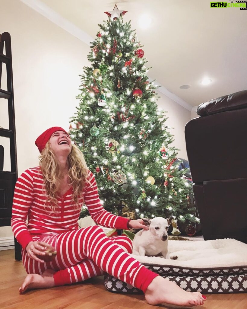 Jenna Boyd Instagram - Merry Christmas from me and a very unamused Tippie 🎄🐶❤