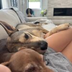 Jenna Dewan Instagram - 🐫 dump day