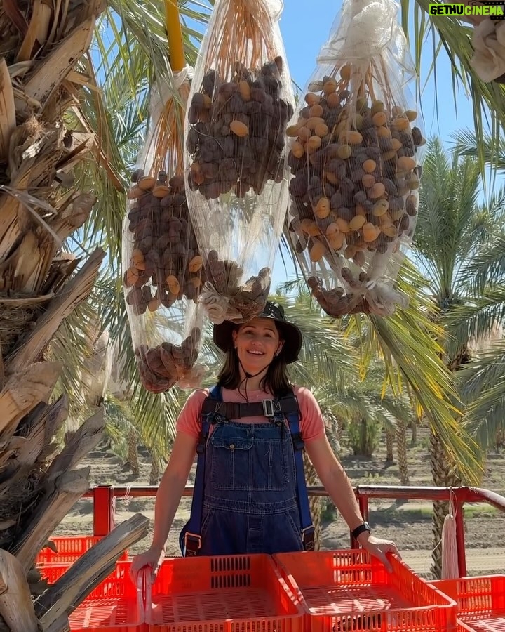 Jennifer Garner Instagram - I love meeting @onceuponafarm suppliers—and I’ll harvest dates for our products any time! 🌴👩🏻‍🌾☀️ I ♥️ farmers! Coachella Valley, California