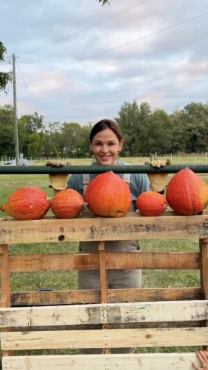 Jennifer Garner Instagram - #NationalPumpkinDay 🎃