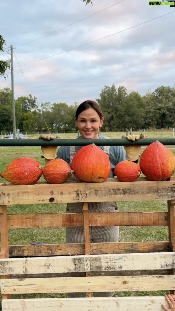 Jennifer Garner Instagram - #NationalPumpkinDay 🎃