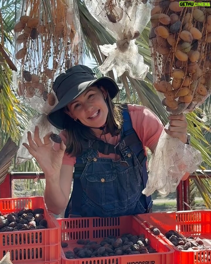 Jennifer Garner Instagram - I love meeting @onceuponafarm suppliers—and I’ll harvest dates for our products any time! 🌴👩🏻‍🌾☀️ I ♥️ farmers! Coachella Valley, California