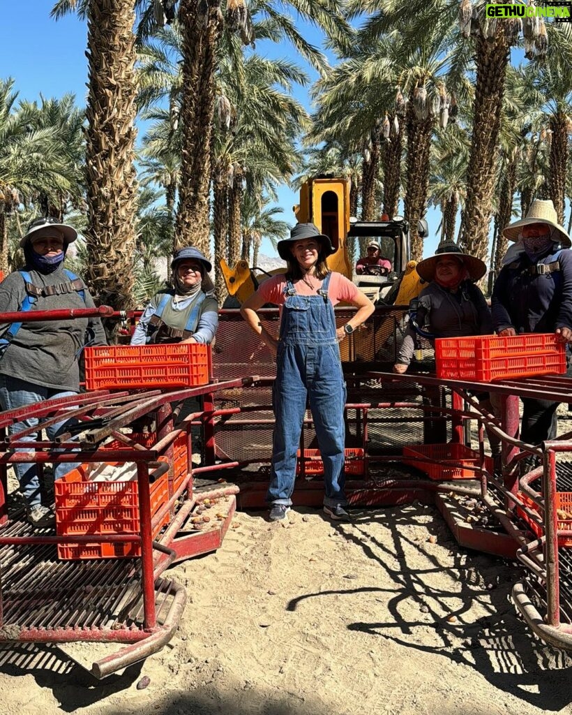 Jennifer Garner Instagram - I love meeting @onceuponafarm suppliers—and I’ll harvest dates for our products any time! 🌴👩🏻‍🌾☀️ I ♥️ farmers! Coachella Valley, California